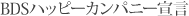 BDS�n�b�s�[�J���p�j�[�錾