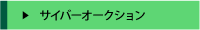 �T�C�o�[�I�[�N�V����