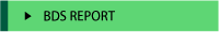 BDS REPORT