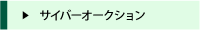 �T�C�o�[�I�[�N�V����