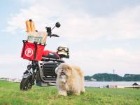 ペットと乗れる電動バイク「PONY」。年明けから販売代理店募集開始！