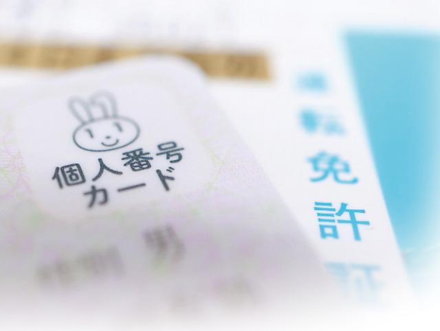 マイナ免許証で何が変わる？ 手続き・費用・メリットを解説