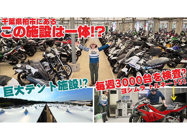 BDS柏の杜オークションの裏側を見学！ 小林ゆきのBDS紹介！